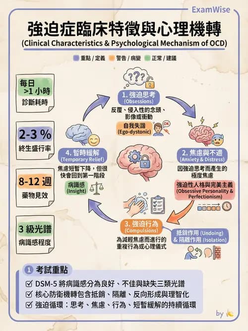 護理師 - 焦慮症與壓力相關障礙 - AI 圖文解析預覽