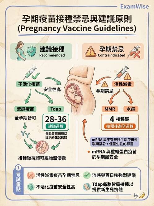 護理師 - 傳染病防治與護理 - AI 圖文解析預覽