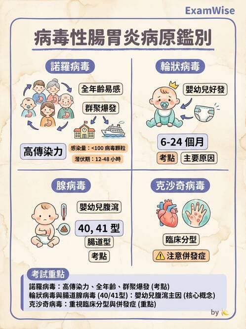 護理師 - 傳染病防治與護理 - AI 圖文解析預覽