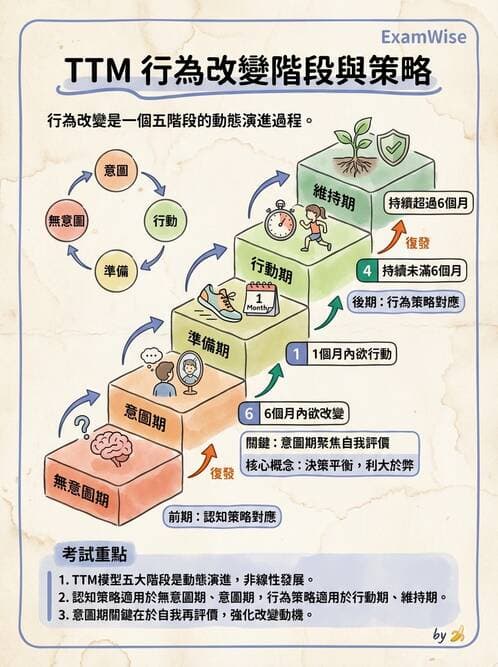 護理師 - 健康促進理論與模式 - AI 圖文解析預覽