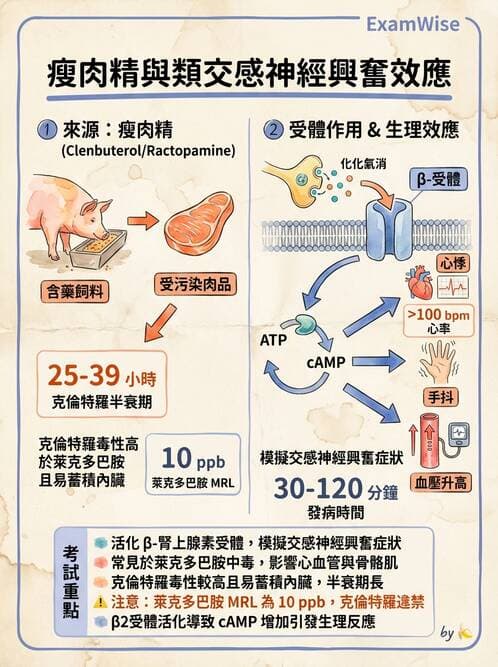 護理師 - 環境衛生與護理 - AI 圖文解析預覽