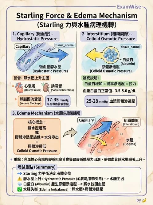 護理師 - 體液平衡 - AI 圖文解析預覽
