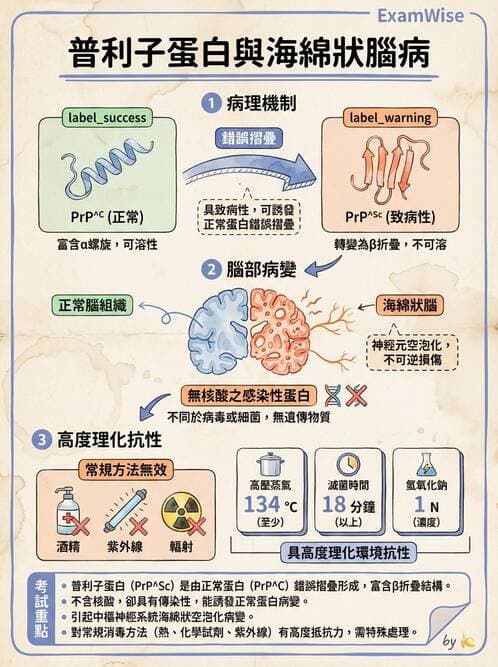 護理師 - 病毒學概念、prion - AI 圖文解析預覽