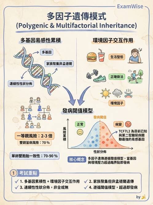 護理師 - 腫瘤及遺傳疾病 - AI 圖文解析預覽