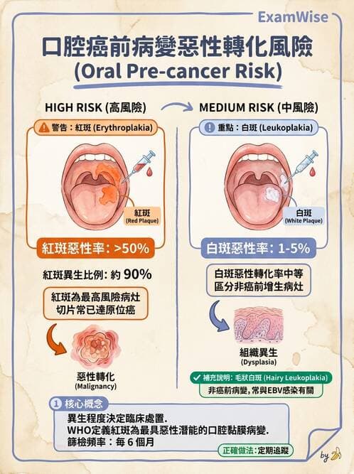 護理師 - 腫瘤及遺傳疾病 - AI 圖文解析預覽