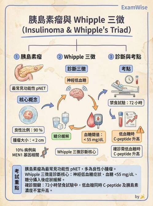 護理師 - 消化及肝膽/胰系統 - AI 圖文解析預覽