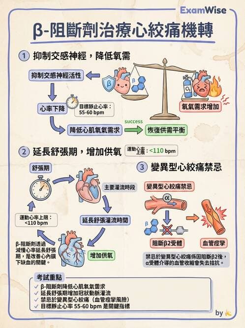 護理師 - 抗高血壓與血管藥物 - AI 圖文解析預覽