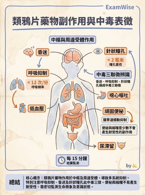 護理師 - 鎮痛、麻醉與神經科藥物 - AI 圖文解析預覽