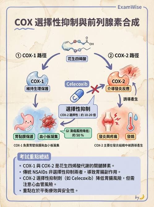 護理師 - 呼吸道及胃腸道作用藥物 - AI 圖文解析預覽