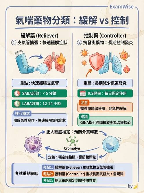 護理師 - 呼吸道及胃腸道作用藥物 - AI 圖文解析預覽