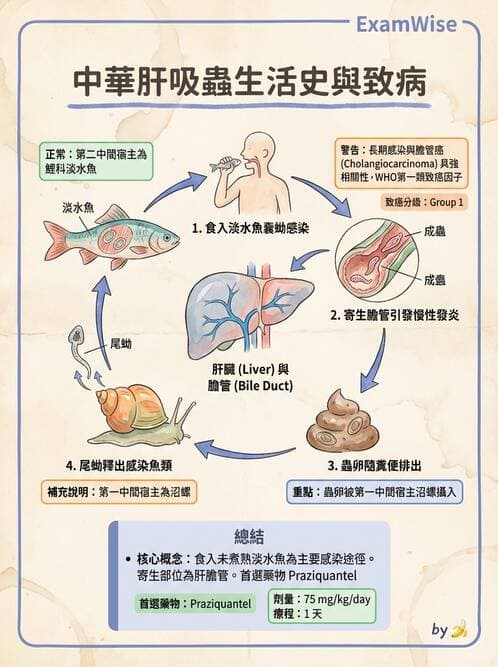 護理師 - 寄生蟲概論 - AI 圖文解析預覽