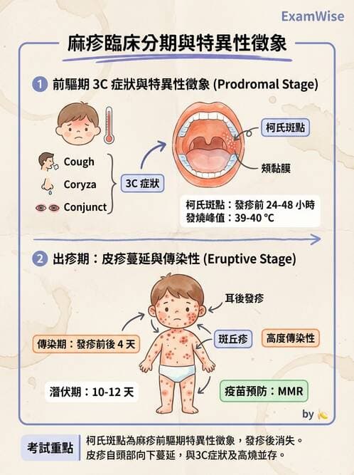 護理師 - RNA 病毒、新興病毒 - AI 圖文解析預覽