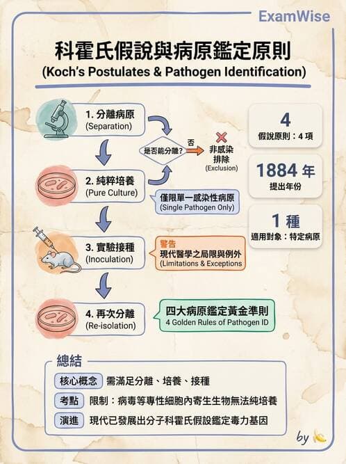 護理師 - 病毒學概念、prion - AI 圖文解析預覽