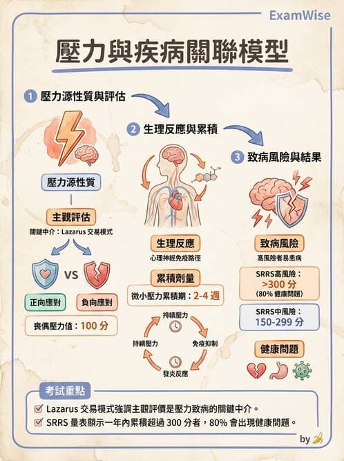護理師 - 護理理論與專業倫理 - AI 圖文解析預覽