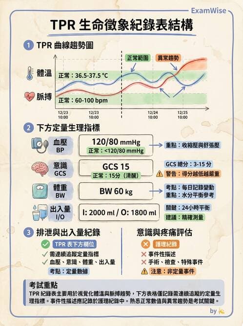 護理師 - 綜合評估與檢體採集 - AI 圖文解析預覽