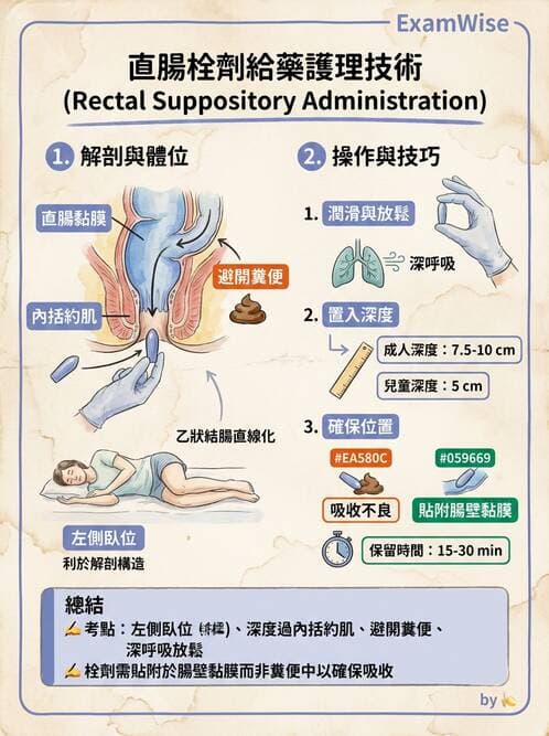 護理師 - 給藥原則與口服給藥 - AI 圖文解析預覽