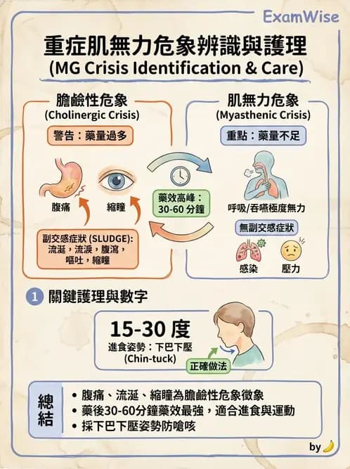 護理師 - 脊髓損傷與神經肌肉疾病 - AI 圖文解析預覽