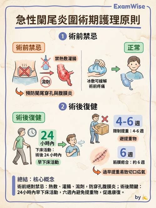 護理師 - 腸道疾病與手術護理 - AI 圖文解析預覽