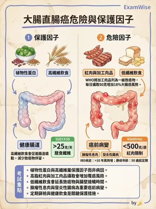 護理師 - 消化系統癌症護理 - AI 圖文解析預覽