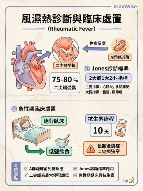 護理師 - 心臟瓣膜病與發炎性心臟病 - AI 圖文解析預覽