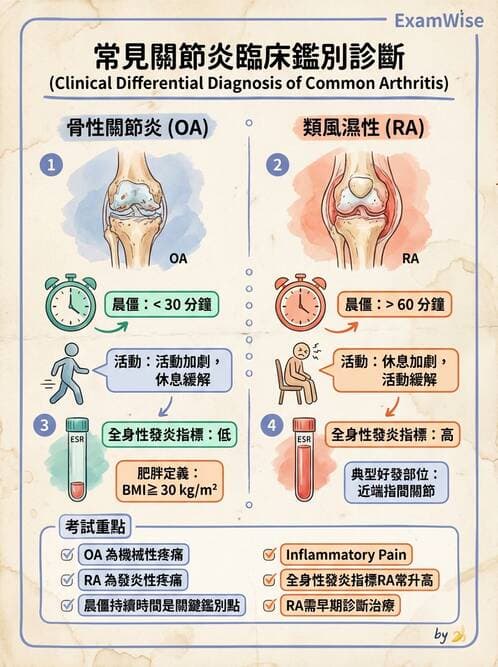 護理師 - 關節疾病與骨科手術 - AI 圖文解析預覽