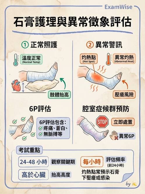 護理師 - 骨折與牽引護理 - AI 圖文解析預覽