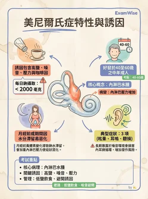 護理師 - 耳鼻喉疾病 - AI 圖文解析預覽