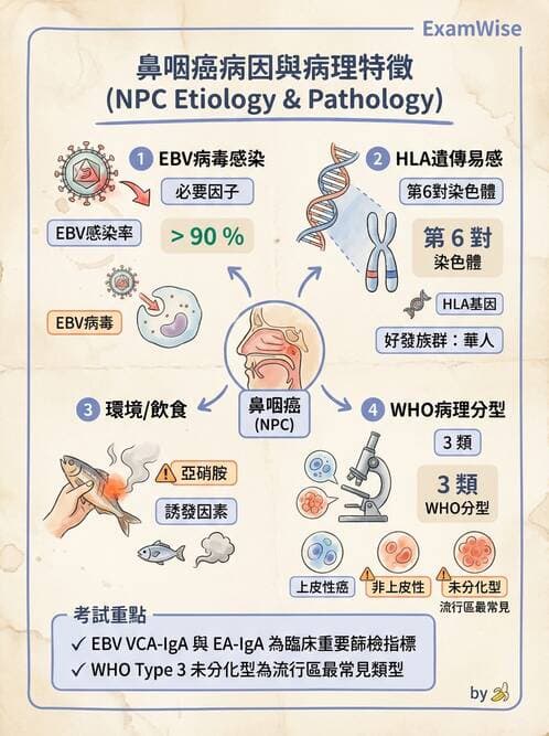 護理師 - 其他常見癌症護理 - AI 圖文解析預覽