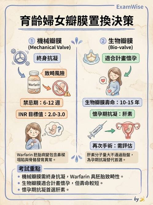 護理師 - 心臟瓣膜病與發炎性心臟病 - AI 圖文解析預覽