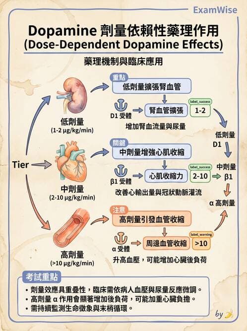 護理師 - 心臟衰竭與心律不整 - AI 圖文解析預覽