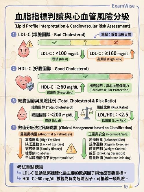 護理師 - 冠狀動脈疾病與心肌梗塞 - AI 圖文解析預覽