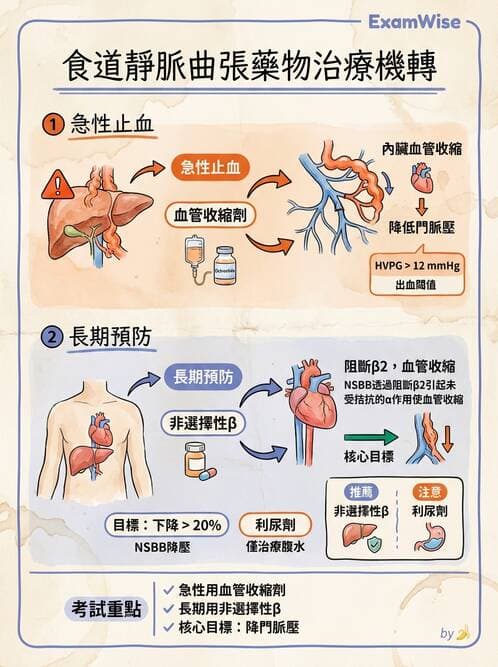 護理師 - 上消化道疾病 - AI 圖文解析預覽