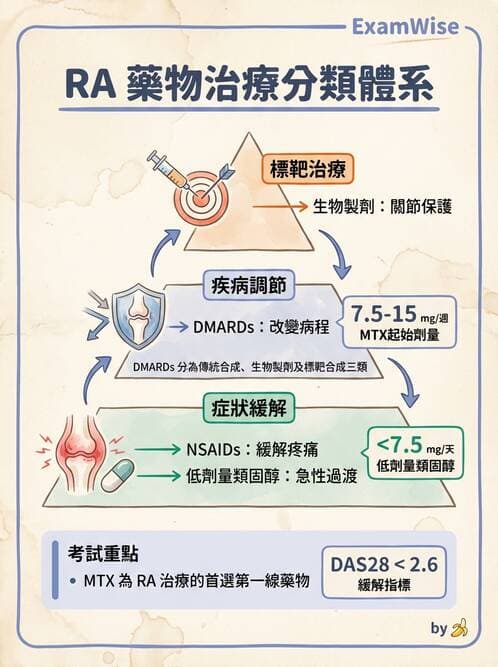 護理師 - 自體免疫疾病與過敏反應 - AI 圖文解析預覽