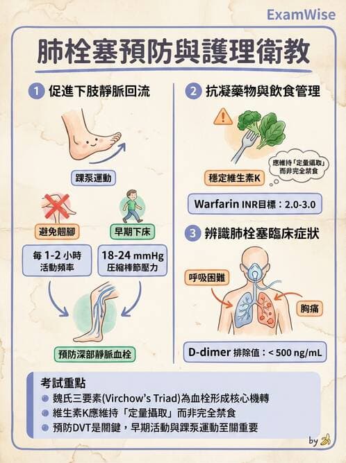 護理師 - 呼吸衰竭與胸腔護理 - AI 圖文解析預覽