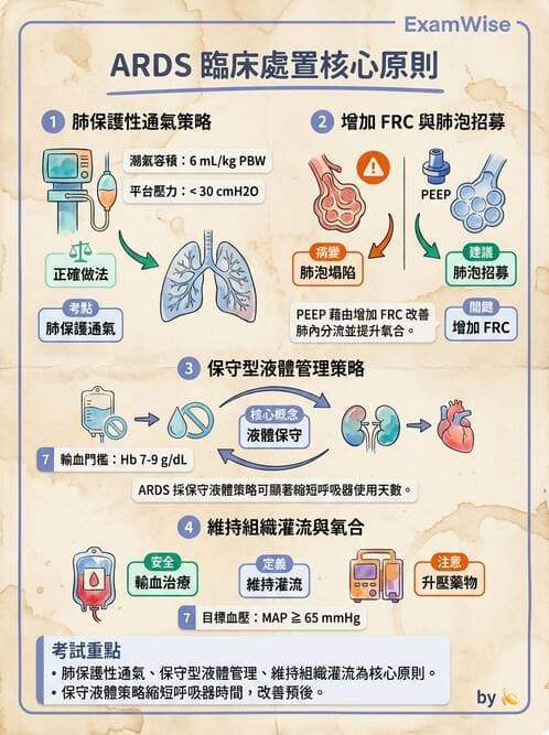 護理師 - 呼吸衰竭與胸腔護理 - AI 圖文解析預覽