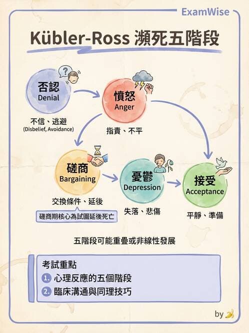 護理師 - 放療、疼痛管理與安寧護理 - AI 圖文解析預覽