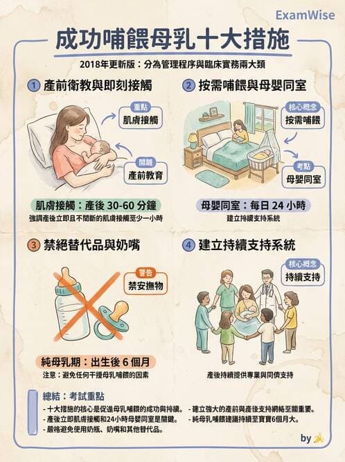 護理師 - 孕期營養心理與衛生政策 - AI 圖文解析預覽