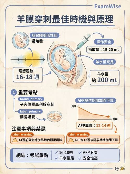 護理師 - 產前篩檢與遺傳診斷 - AI 圖文解析預覽