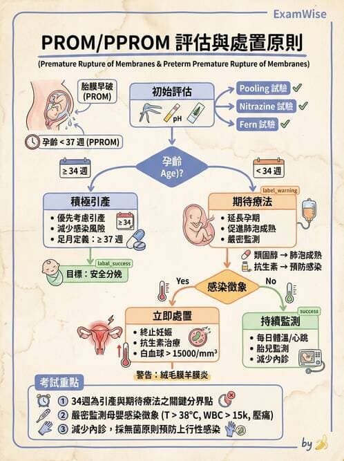 護理師 - 產程機轉與待產護理 - AI 圖文解析預覽