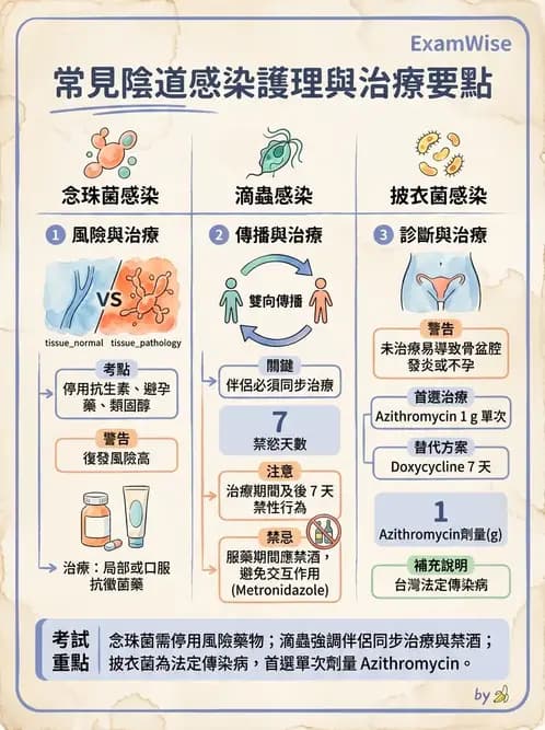護理師 - 婦科腫瘤與感染 - AI 圖文解析預覽