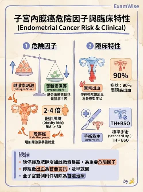護理師 - 婦科腫瘤與感染 - AI 圖文解析預覽