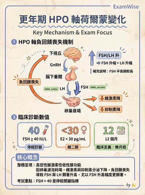 護理師 - 不孕症月經與更年期 - AI 圖文解析預覽