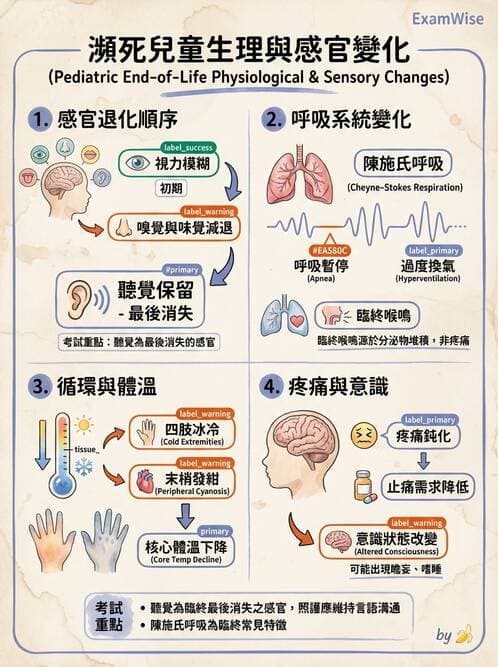 護理師 - 兒童心理與特殊照護 - AI 圖文解析預覽