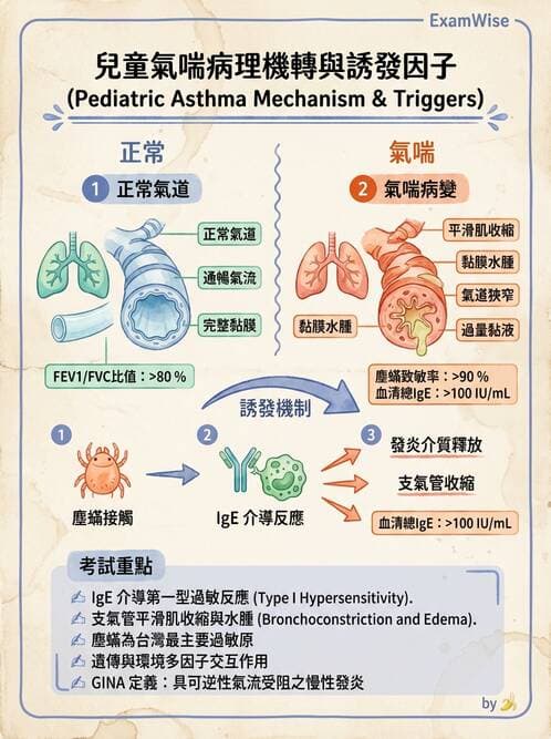 護理師 - 兒童呼吸系統疾病 - AI 圖文解析預覽