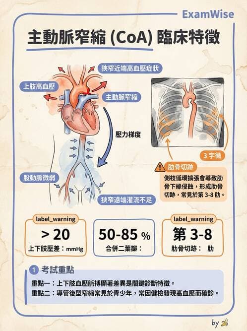 護理師 - 兒童循環系統疾病 - AI 圖文解析預覽