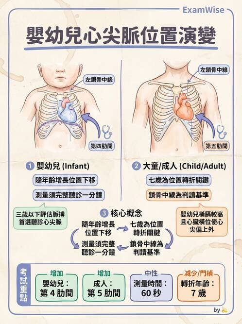 護理師 - 新生兒日常照護與篩檢 - AI 圖文解析預覽