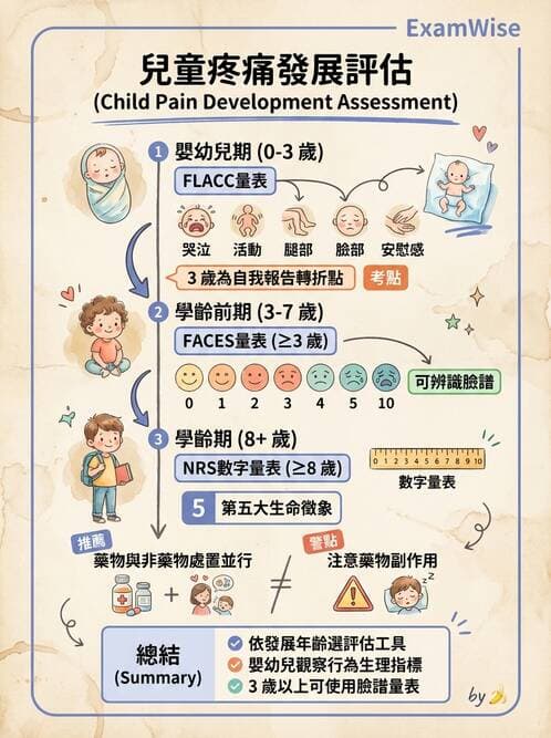 護理師 - 兒童心理與特殊照護 - AI 圖文解析預覽
