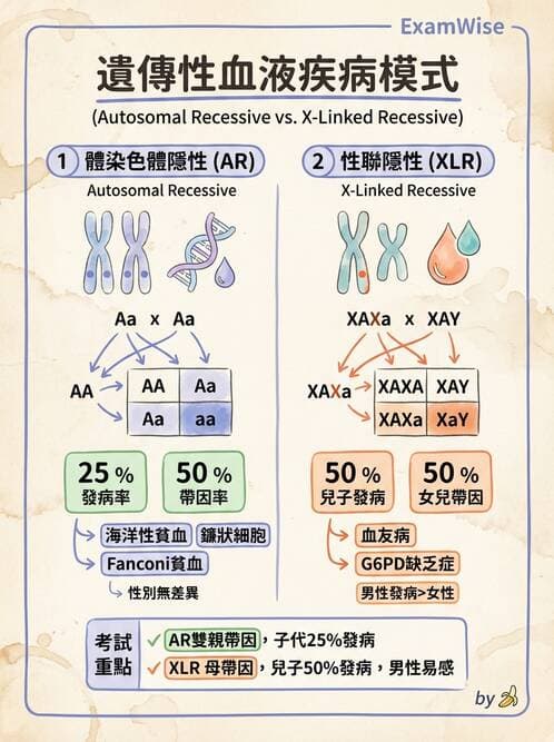 護理師 - 兒童血液與腫瘤疾病 - AI 圖文解析預覽