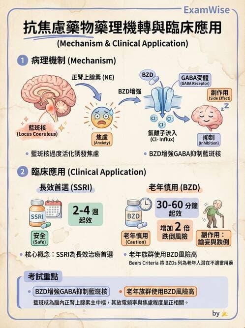 護理師 - 焦慮症與壓力相關障礙 - AI 圖文解析預覽