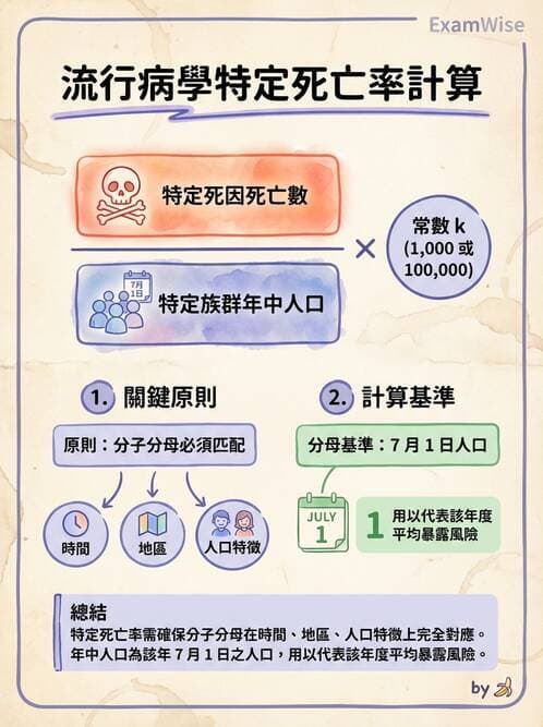 護理師 - 生命統計與健康指標 - AI 圖文解析預覽